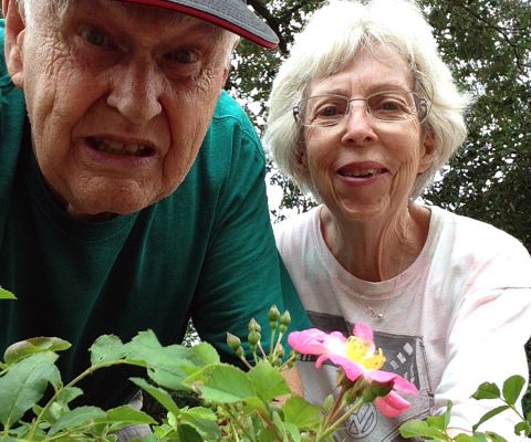 IMG_7390 A senior couple is working in the garden.